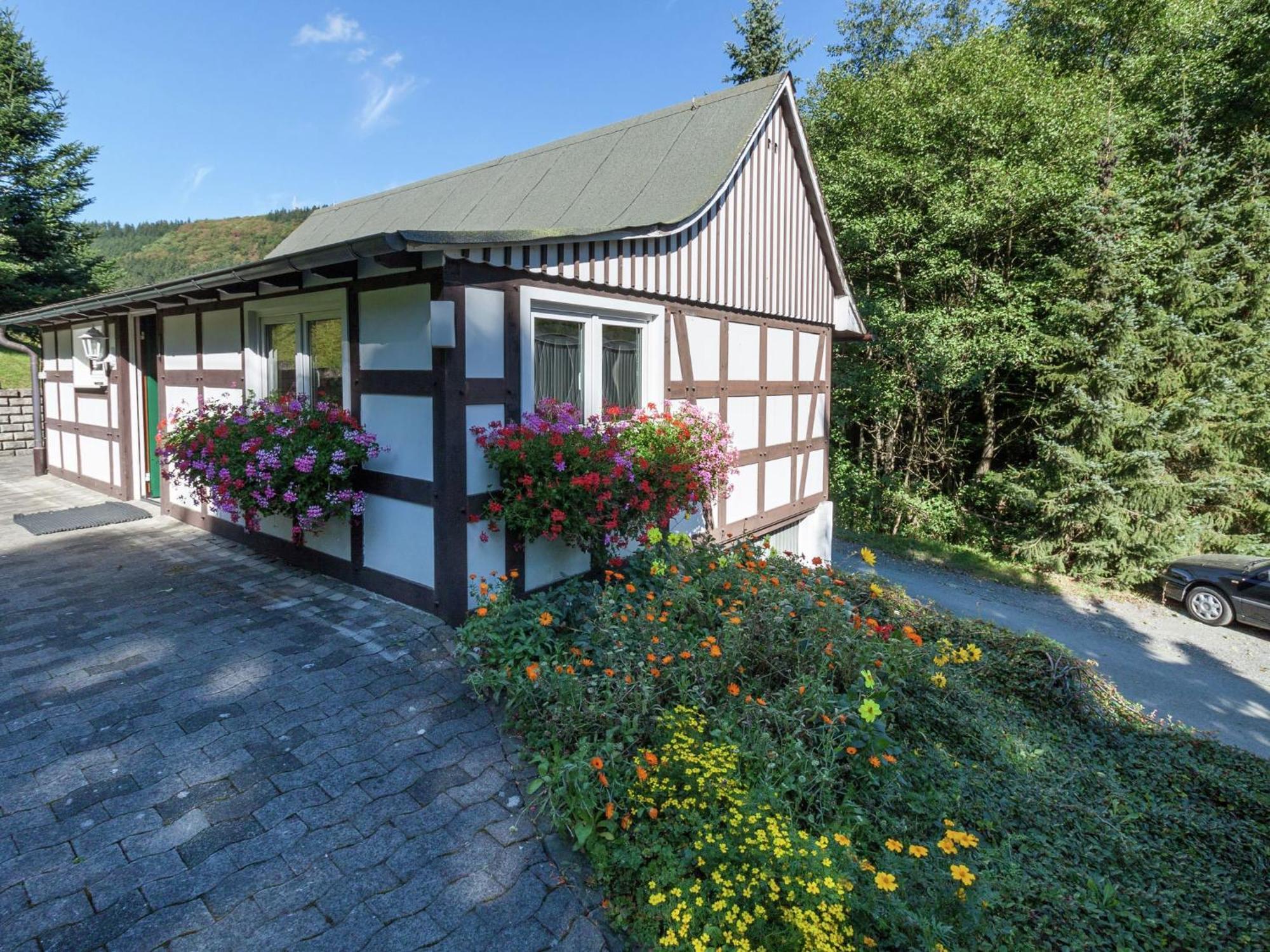 Modern Apartment in Sauerland with Balcony Schmallenberg Exterior foto